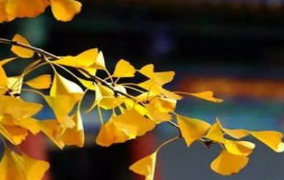 《满庭芳·山抹微云》的写作背景是什么？该怎样去理解呢？