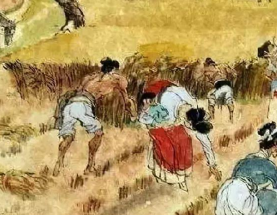 白居易《观刈麦》是在什么背景下创作的？如何赏析？