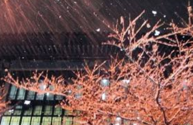 《落梅风·心间事》的写作背景是什么？该怎样去理解呢？