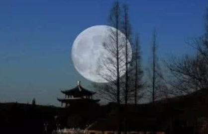 1616031689866534.png image.png