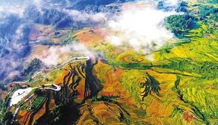 《迎仙客·括山道中》的写作背景是什么？该如何理解呢？
