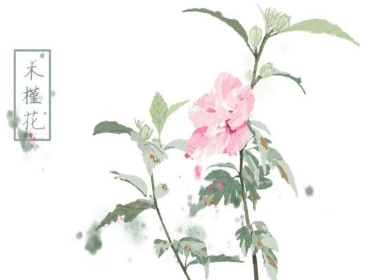 1628820722608986.png image.png