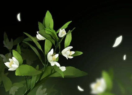 1628838048186231.png image.png