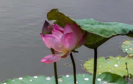1630565210748953.png image.png