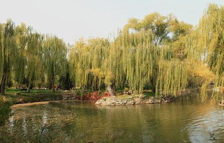 1630565525588983.png image.png