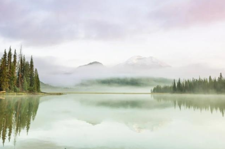 1631151921997955.png image.png
