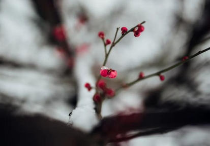 1631154641308445.png image.png