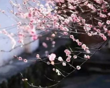 白居易所作的《长相思·汴水流》，以月下脉脉的流水映衬悠悠绵绵的离情别绪