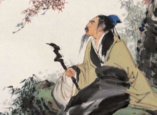 《冬柳》的原文是什么？该如何理解呢？